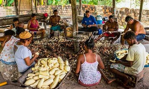 A Popula O Quilombola E Ribeirinha Tr S Vezes Maior No Cerrado Do