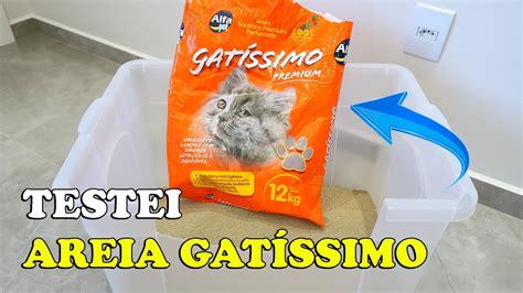 Testei Areia Gat Ssimo Premium Para Gatos Gatil Hauser Youtube