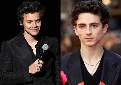 Harry Styles interviewed Timothee Chalamet – and the…