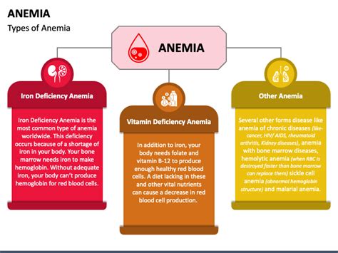 Ppt Anemia Causes Symptoms And Treatment Powerpoint Presentation Nbkomputer