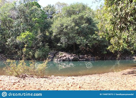 Shot Of A Stream Surrounded By Trees Stock Image Image Of Nature Destination 194873075