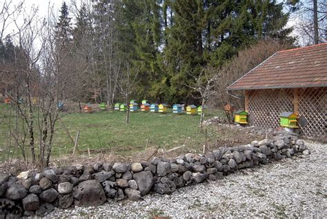 Tout Proche Du Lac De Saint Point Le Rucher Des Lacs Labergement