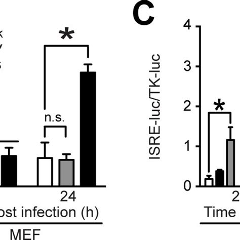 IIV 6 Elicits A Type I IFN Response In Mammalian Cells A B MEFs C