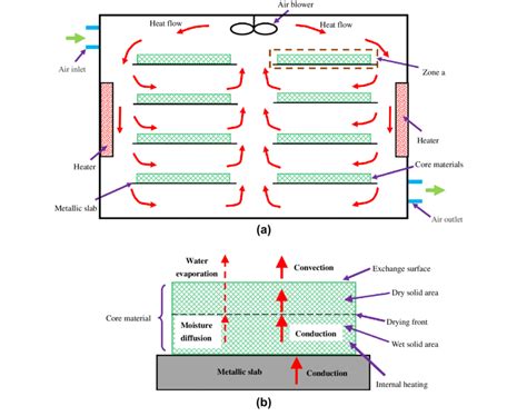 Outline Of Drying Model A Schematic Drawing Of Oven Structure B Download Scientific