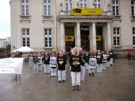 Hypathie Blog F Ministe Et Anti Sp Ciste Op Ration Mouvante Nantes