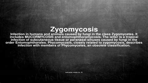 Medical vocabulary: What does Zygomycosis mean - YouTube