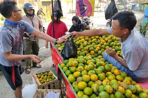 Aneka Tips Harian Begini Cara Memilih Jeruk Yang Manis Jangan Sampai