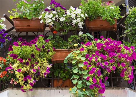 Balcony decorated with colorful petunias Stock Photo by ©deb-37 61766041