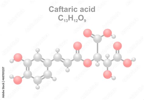 Caftaric Acid Simplified Scheme Of The Molecule To Measure Caftaric