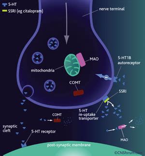 SSRIs and Serotonin Syndrome