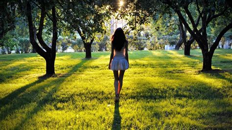 Wallpaper Sunlight Trees Women Grass White Dress Dark Hair Tree