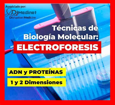 Fundamento de la electroforesis de ADN y proteínas Usos y tipos