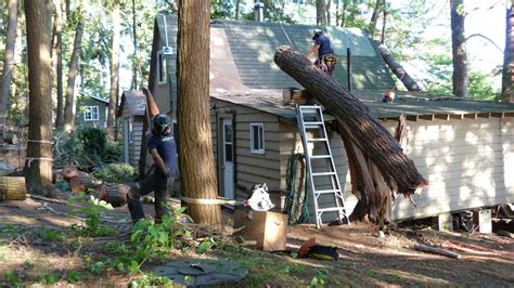 Tree Storm Damage Repair, Logan Tree Experts, Peterborough