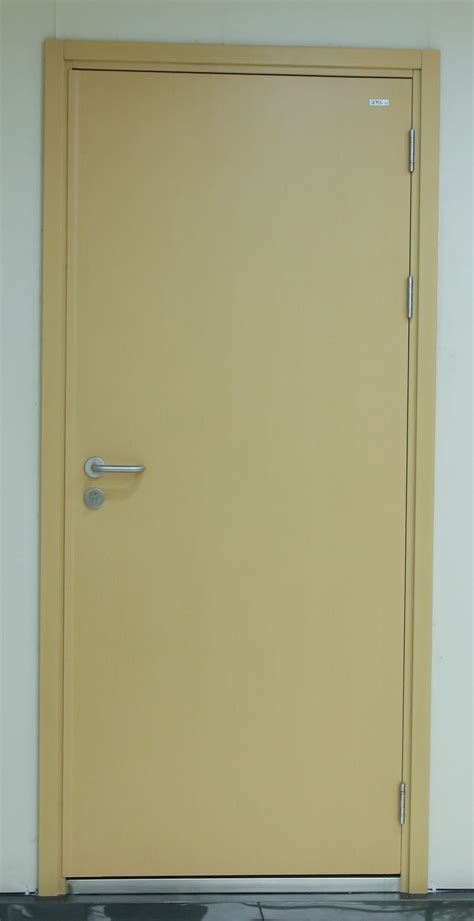 Wooden Surface Finish Ul Listed Fire Rated Steel Doors With Concealed