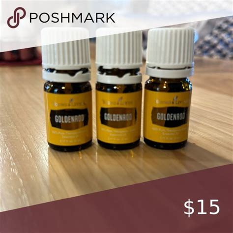 Goldenrod Essential Oil Goldenrod Essential Oil Essential Oils