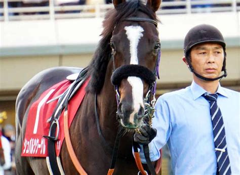 11月18日東京競馬⭐︎東スポ杯2歳s⭐︎シュヴァルツクーゲル 公式：黒澤ひかりのキラキラ日記～magic Kiss Lovers Only～