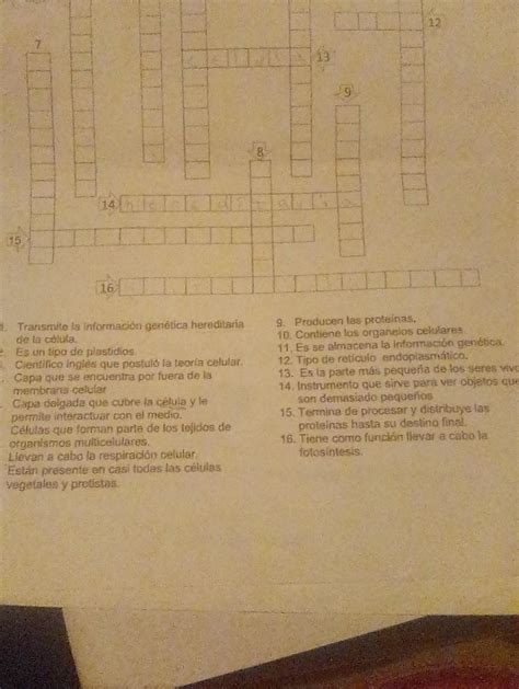 Resuelve El Siguiente Crucigrama Para Ellos Debes Haber Estudiado Los