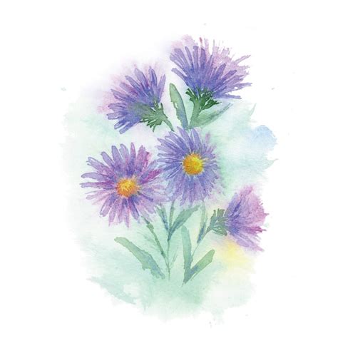 Loose Aster September Birth Flower Watercolor Downloadable Original ...