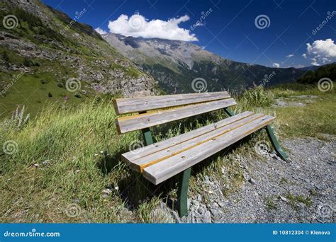 Bench on a hiking trail stock photo. Image of canada - 10812304