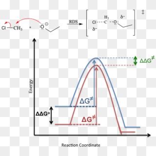 Solvent Effect Sn1 Mechanism - Solvent Effect On Reaction Rate Clipart ...