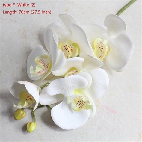 Fleur Sechee Type F White Fleur Artificielle Orchid E Papillon