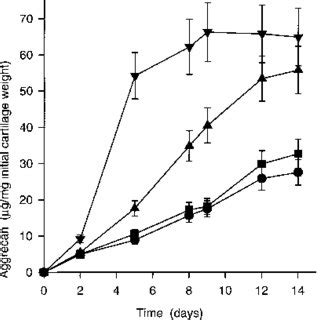 Time Course Of The Loss Of Aggrecan From Cultured Bovine Nasal