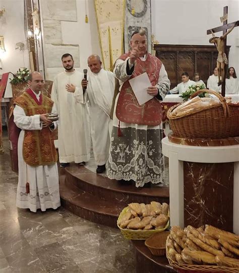 Gallodoro Festeggiamenti In Onore Del Patrono San Teodoro