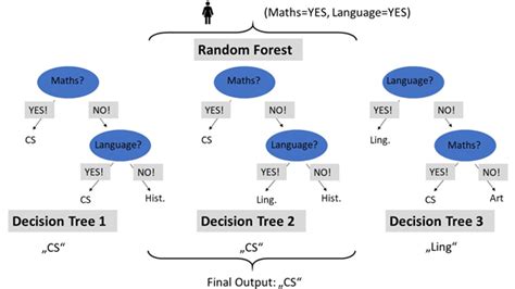 Random Forest Classifier Made Simple Finxter