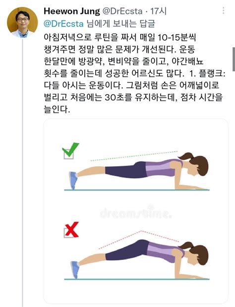 허리가 안좋아도 할 수 있는 6가지 코어 운동twt 인스티즈instiz 인티포털 카테고리