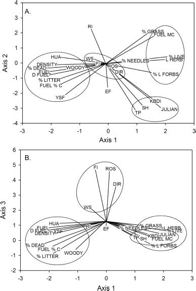 Results Of Principal Components Analysis Showing Loadings Of Variables Download Scientific