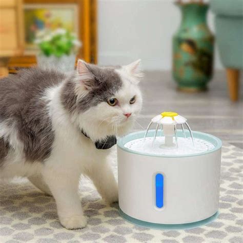 Promo Water Dispenser Tempat Minum Anjing Kucing Otomatis Hewan