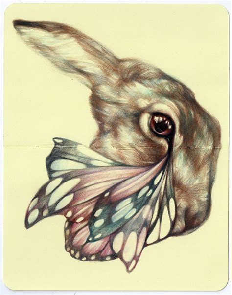 Marco Mazzoni In 2020 Drawings Art Rabbit Art