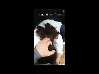 Aytug Melda Turkish Outdoor Amateur Porn XHamster