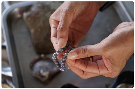 Phuket Pearl Shop And Pearl Farm