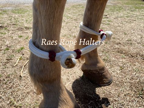 Horse Hobble Raes Rope Halters