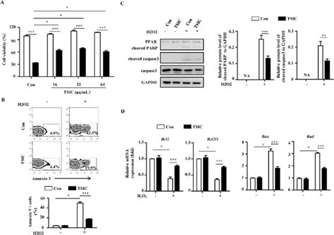 Tsic Protected H9c2 Cells From H2o2 Induced Apoptosis A H9c2 Cells