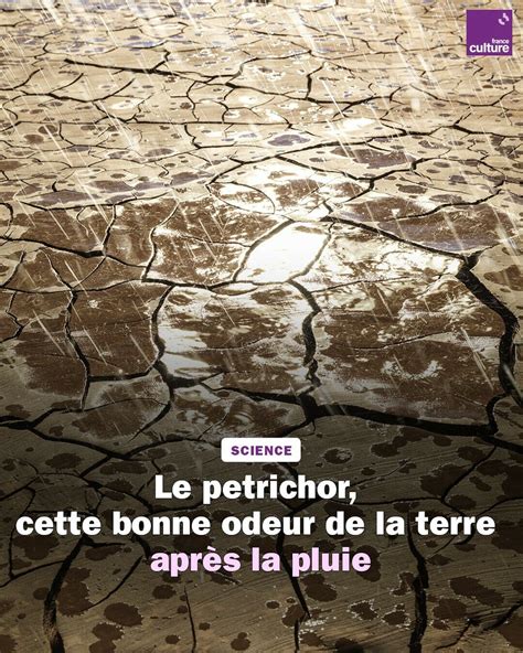 adrien vindry on Twitter RT franceculture Après une averse sur un