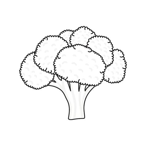 Premium Vector | Broccoli vector illustration. cartoon broccoli ...