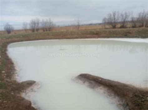 УВД Иссык-Кульской области установило факт слива сточных вод в речку. Фото