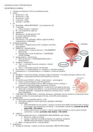 Resumo Vulvovaginites e Doença Inflamatória Pélvica VULVOVAGINITES