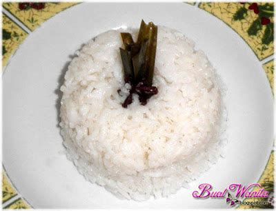 resepi mudah nasi lemak sihat  santan buat wanita