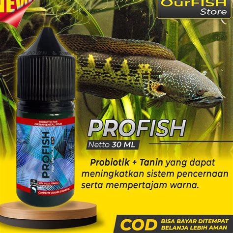 Jual H W Vitamin Ikan Channa PROFISH Untuk Ikan Predator Channa Oscar