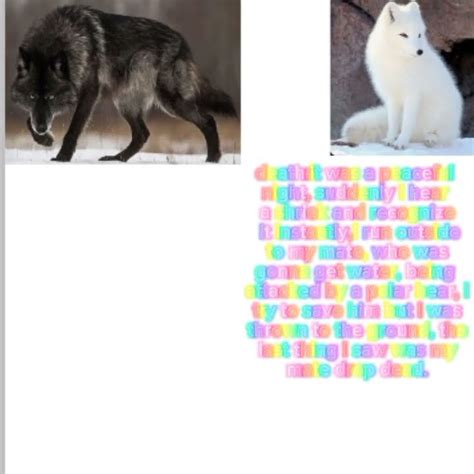 My Theriotypes Youtube