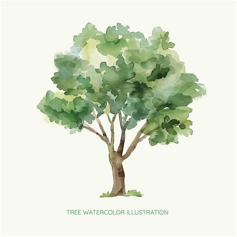 Premium Vector Tree Watercolor Illustration