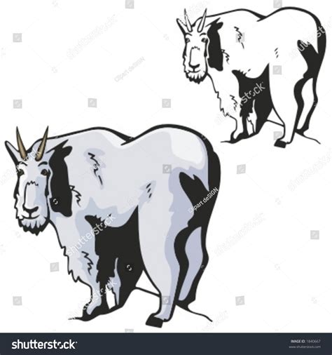 Vector Illustration Goat Stock Vector Royalty Free 1840667 Shutterstock