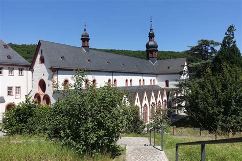 schiller wine kloster eberbach   rheingau lunch