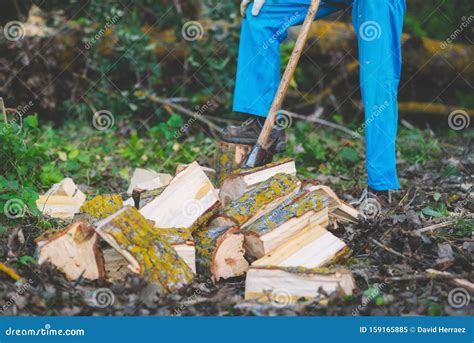 Lumberjack Splitting Wood And Cutting Firewood With Old Axe Stock