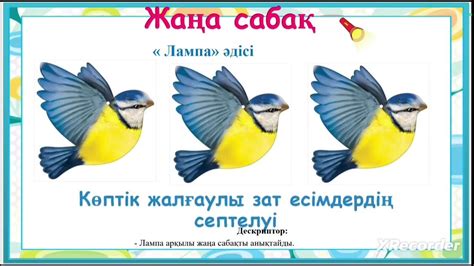 Ашық сабақ Көптік жалғаулы зат есімдердің септелуі Айгүл - YouTube