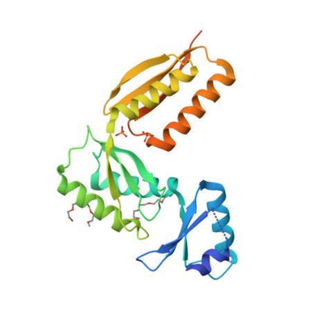 RCSB PDB 4G1I Structure Of The PrgH Periplasmic Domain