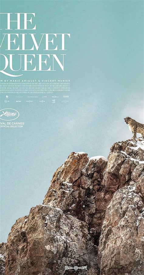 Regarder La Panthère des neiges 2021 Film streaming Enstream